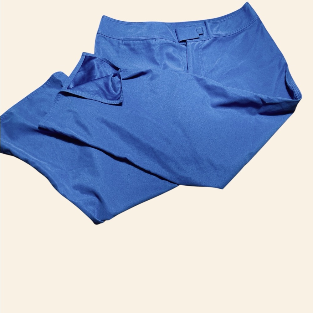 Patagonia Hiking blue cropped pants 
Women’s size 8.